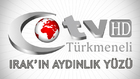 http://turkmenelifm.web.tv