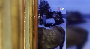 KIZINA MERDİVENDE TEKME ATAN BABAYA HAPİS CEZASI