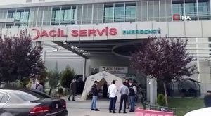 Tarihi yarımadanın maskotu olan tilki, sporcunun elinden beslendi
