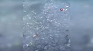 Bursa'da vandallar kameraya böyle yansıdı! Çizdiler, kırdılar...