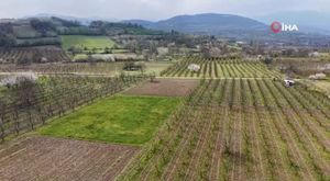 Sürücünün refleksi kazayı böyle önledi