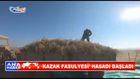 KAZAK FASULYESİ’ HASADI BAŞLADI