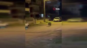 Bursa'da faciaya ramak kaldı! Virajda yaptığı sollama kameraya yansıdı