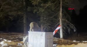 Kamyonda çıkan yangın, araca da sıçradı