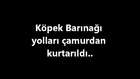 Gölbaşı Köpek Barınağı Yolları Yapıldı