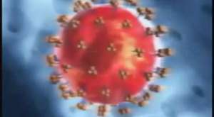 Hiv Virüsü Çoğalımı
