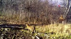 Rüşvet operasyonunda gözaltına alınmıştı: Bursa Büyükşehir Belediye Başkanı Bozbey'den yeni görüntü!