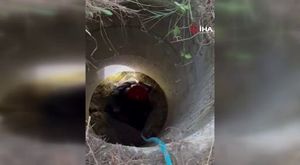 Büyükşehir hem çiftçiyi hem vatandaşı gülümsetti