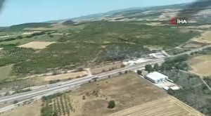 Türkiye'de kişi başına yılda 150 yumurta düşüyor
