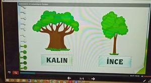 Fen öğretmeni profesör Pi