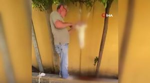 Meksika’da cinsiyet öğrenme partisinde uçak düştü: 1 ölü