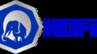 hdcizgi