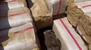 Bursa'da kaçak göçmenlere geçit yok