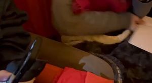 Fransa Paris’te Süresiz Açlık Grevi Direnişi Çadırı Yeni Bir Mücadele Haftasını Da Coşkuyla Karşıladı