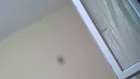 Live 2013-09-17 21:33