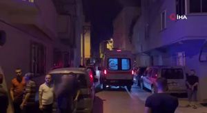 Bursa'da aç kalan domuz sürüsü şehre indi!