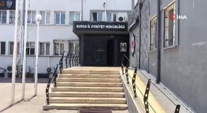 Bursa'da aç kalan domuz sürüsü şehre inip yemek aradı