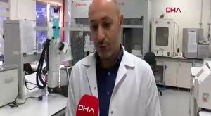 Bursa'da evcilleşen ayılar doğayı tehdit ediyor