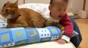 Kedinin kuyruğunu ısıran bebek