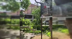 Araçta gizlenen uyuşturucuyu 'Cadı' buldu