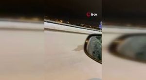 Jaws'la özçekim...