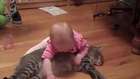 Funny baby videos laughing compilation
