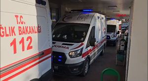 İzmir’de köpeğe işkence anbean kamerada