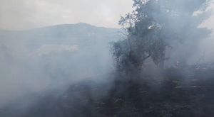 Bursa'da çocuğa çarpmamak için şoförünün manevra yaptığı özel halk otobüsü devrildi
