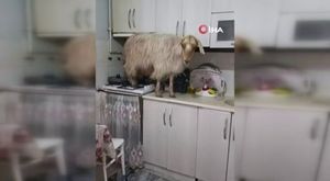 Aracın çarptığı genç kız yaralandı...Kaza anı kamerada