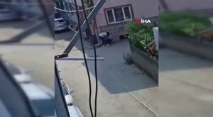 Bursa'da kurban pazarının gözdesi: 4 boynuzlu koç dikkat çekti