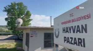 İstinat duvarına çarpan et yüklü kamyon kağıt gibi ezildi!