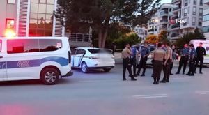 İznik Gölü'nde sazan bereketi