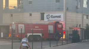 Bursa siyahı zirai dondan etkilenmedi