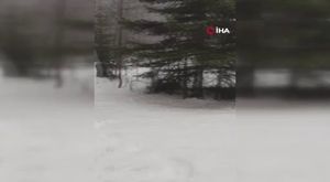 Bursa'da korkunç kaza: 3 yaralı