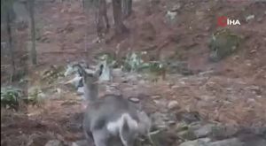 Çorum'da patlama: 1 ölü, çok sayıda yaralı var