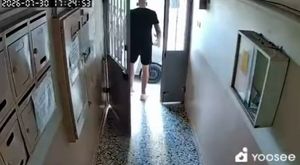 Bursa'da yılan paniği! İtfaiye ekiplerinin elinden kaçtı