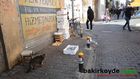 Bakırköy Martıları çok seviyor (Bakırköy Firma Rehberi) 