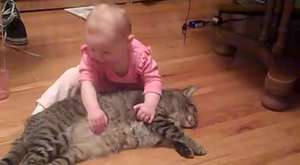  kedinin kuyruğunu ısıran bebek :) 