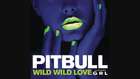 Pitbull - Wild Wild Love (Audio) ft. G.R.L.