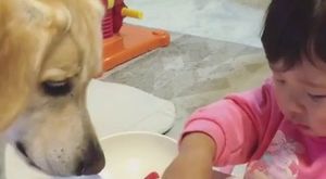 Pepee ve Elifin Düşleri Ağlayan Bebek Parmak Ailesi Şarkısıyla Dondurma Yiyorlar  izle 