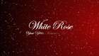 White Rose - Yeni Yıl 2014 (1)