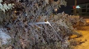 Bursa'da bayram öncesi otobüs terminallerinde sıkı denetim!