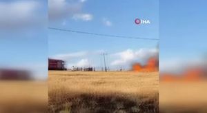 Celal Şengör'den canlı yayında küfür!