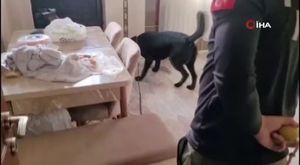 Seyhan Belediyesi Spor Okulları, çocukları sağlıklı bir geleceğe hazırlıyor