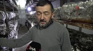 Bursa'da çimento yüklü TIR devrildi: 1 yaralı
