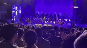 Bursa'da aç kalan domuz sürüsü şehre indi!