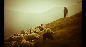 Çoban Ali - Derdi Neymiş