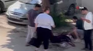 Bursa'nın meşhur İznik papaz eriği hasadına sayılı günler kaldı!