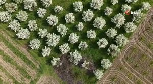 Bursa TB Başkanı Matlı, 13 yılını değerlendirdi