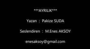 Ayrılık Şiiri